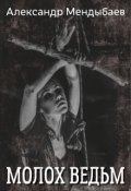 Обложка книги "Молох ведьм"