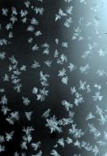 Обложка книги "Сорок минут"
