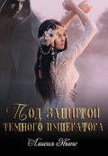 Обложка книги "Под защитой Темного императора"