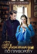 Обложка книги "Практикум по привороту или мама-одиночка для двоих"