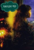 Обложка книги "Новогоднее чудо"