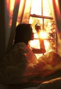 Обложка книги "Необратимость"