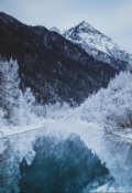 Обложка книги ""Новогодняя история или загадывай желания правильно""