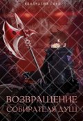Обложка книги "Возвращение Собирателя Душ. Начало"