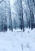 Обложка книги "Предновогоднее чудо"