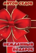 Обложка книги "Нежданный Подарок"