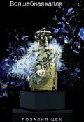 Обложка книги "Волшебная капля (магический любовный роман) Книга первая"