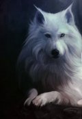 Обложка книги "Двуликое счастье"