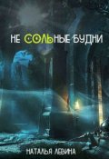 Обложка книги "Не Сольные будни"