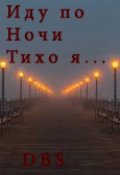 Обложка книги "Иду по ночи тихо я...   (стих)"