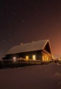 Обложка книги "Мятные пряники"