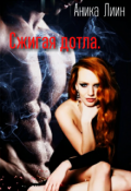 Обложка книги "Сжигая дотла."