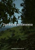 Обложка книги "Записки алхимика"