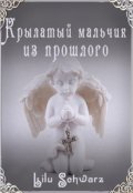 Обложка книги "Крылатый мальчик из прошлого"