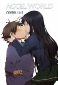 Обложка книги "Accel World: Глава 16.5"