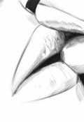 Обложка книги "Я и мой вампир"