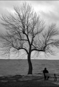 Обложка книги "Любовь"