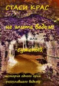 Обложка книги "Не злите ведьм!"