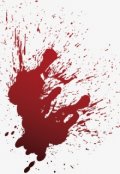 Обложка книги "Вопрос доверия"