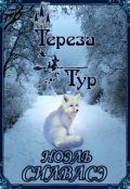 Обложка книги "Ноэль Сиавасэ"