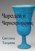 Обложка книги "Чародей и Чернокнижник"