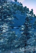 Обложка книги "Орки под Фарингом"