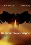 Обложка книги "Неправильный игрок"