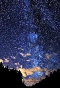 Обложка книги "Любя, сгореть"