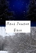 Обложка книги "Пять зимних дней."