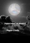 Обложка книги "Зарисовка из жизни"