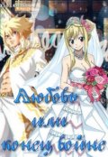 Обложка книги "Любовь или конец войне"