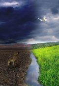 Обложка книги "Добро и зло"