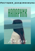 Обложка книги "Напарник"