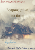 Обложка книги "Возрождение из боли"