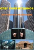 Обложка книги "Погружение в Резервацию"