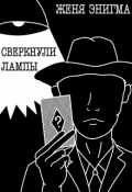 Обложка книги "Сверкнули лампы"