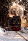 Обложка книги "В один конец"