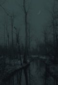 Обложка книги "Когда котик спит"