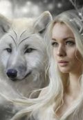 Обложка книги "Слегка безумны"