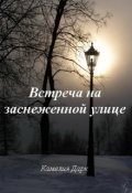 Обложка книги "Встреча на заснеженной улице"