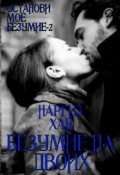 Обложка книги "Безумие на двоих"