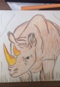 Обложка книги "Приключeния барона Мюнхгаузена. Носорог с золотым рогом."