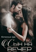 Обложка книги "Сын на вечер"