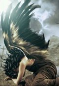 Обложка книги "Разочарованный ангел"
