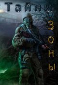 Обложка книги "Приключение Бёрша:тайны зоны"