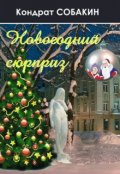 Обложка книги "Новогодний сюрприз"