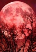 Обложка книги "Крик под луной"