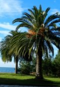 Обложка книги "Прекрасное verano."