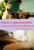 Обложка книги "Ромео и Джульетта. Грустная история двух кошек."