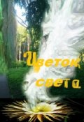 Обложка книги "Цветок Света"
